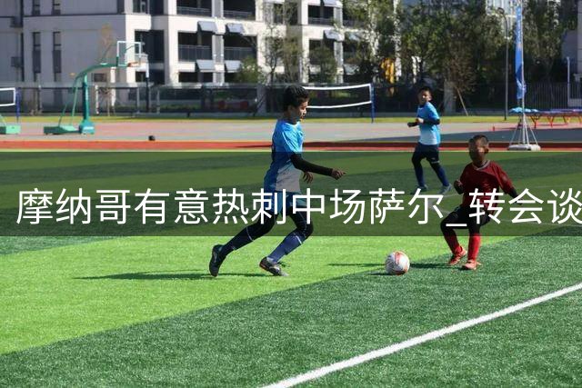 摩纳哥有意热刺中场萨尔 转会谈判开启