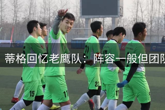 蒂格回忆老鹰队：阵容一般但团队制胜